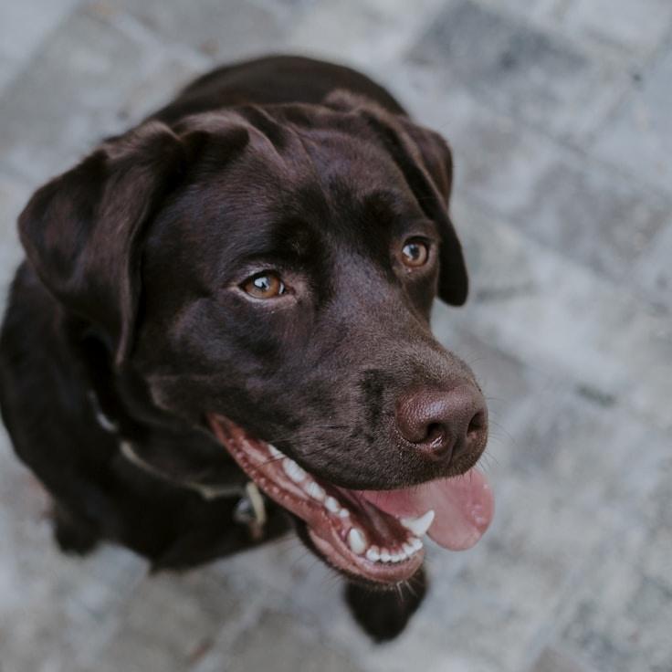 Portrait of Nova Kim, group coordinator and fusion cooking expert